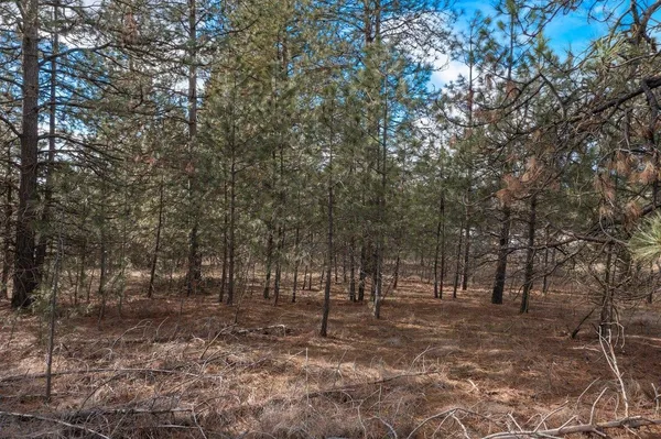 $184,900 | Xxx North Boston Road, Colbert, WA 99005