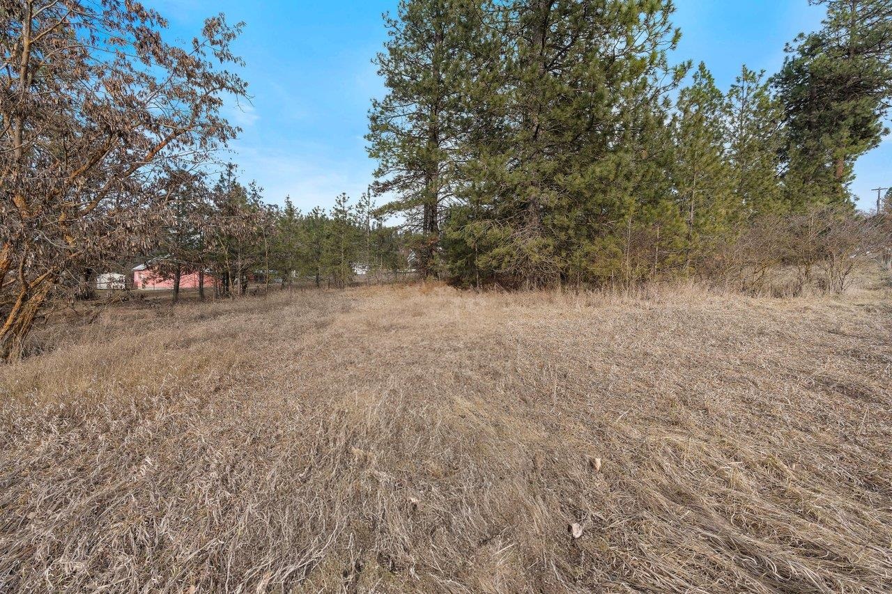 Xxx North Boston Road Colbert, WA 99005 - Photo 2 of 14