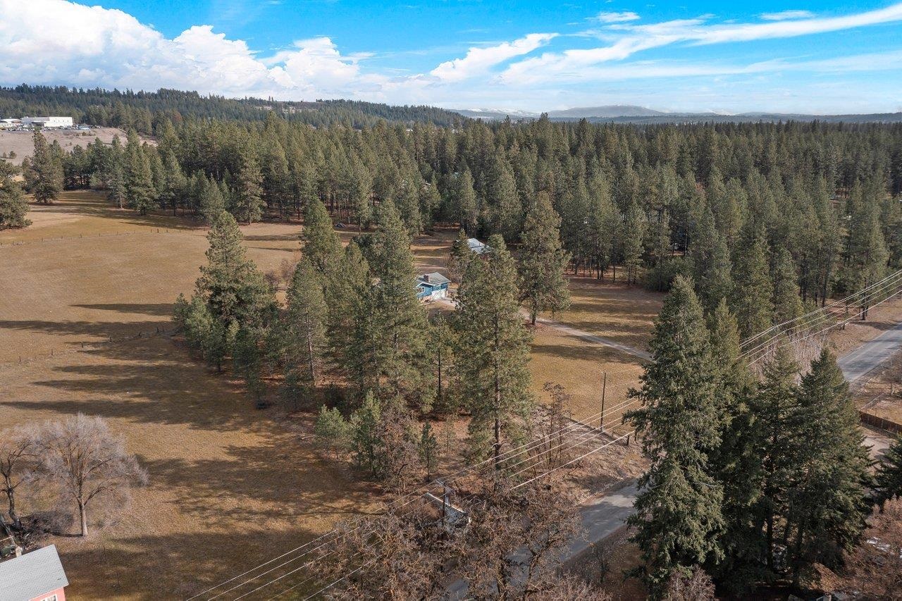 Xxx North Boston Road Colbert, WA 99005 - Photo 6 of 14