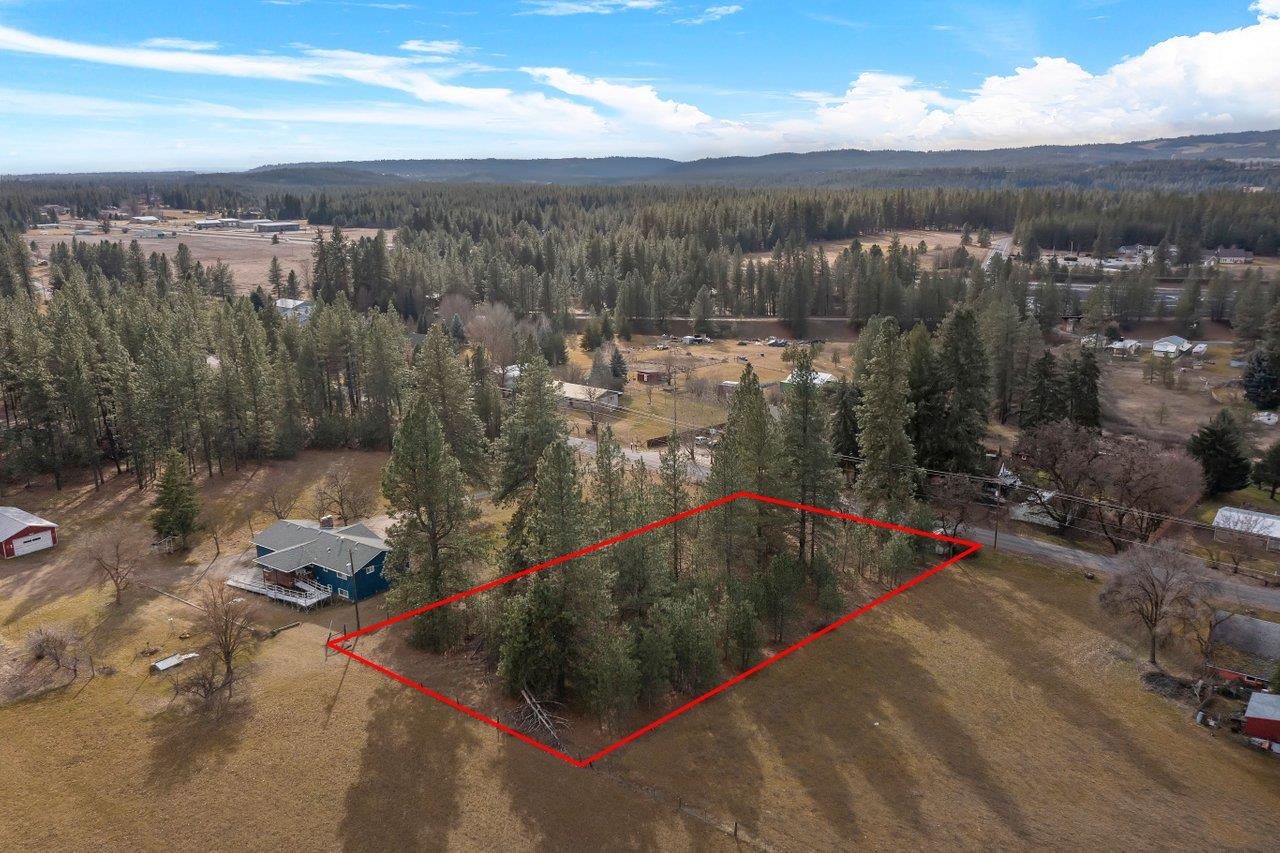 Xxx North Boston Road Colbert, WA 99005 - Photo 9 of 14