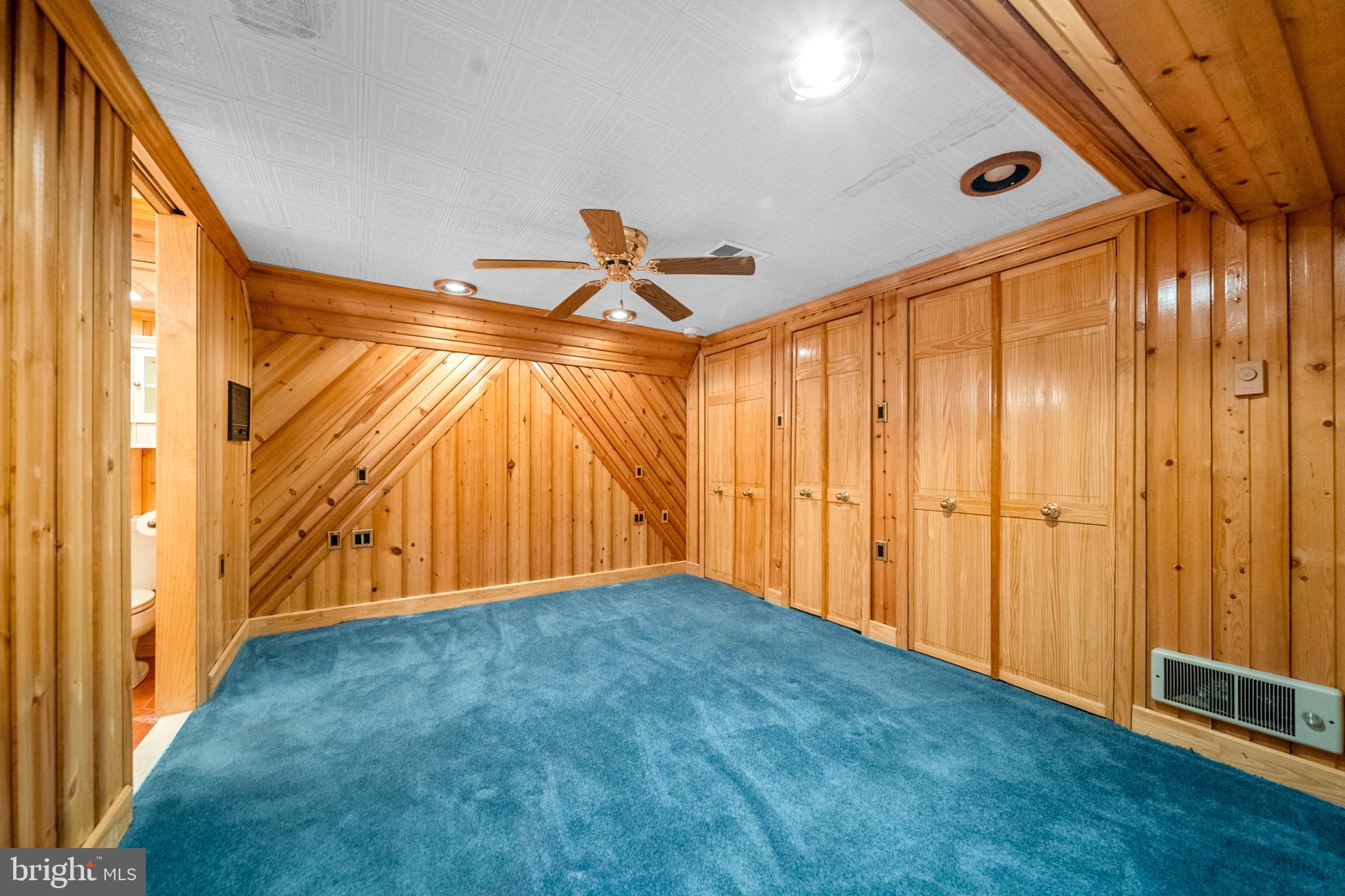 18189 Sands Road Purcellville, VA 20132 - Photo 63 of 145 Additional room in basement with ensuite bath.
