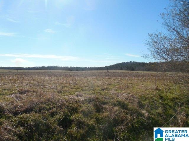 0 Curry Station Road, Unit 1 Munford, AL 36268 - Photo 3 of 14