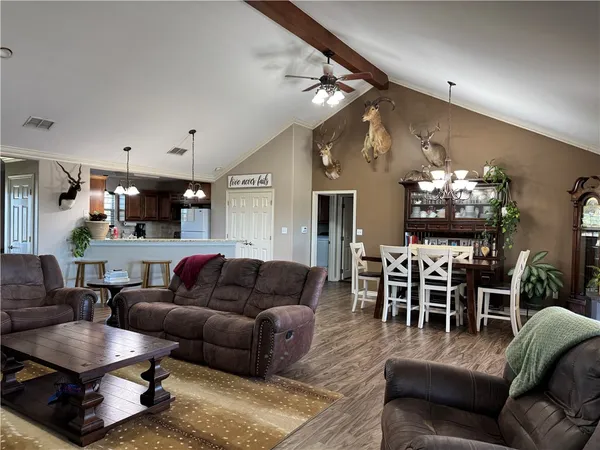 a living room with furniture potted plant and a chandelier
