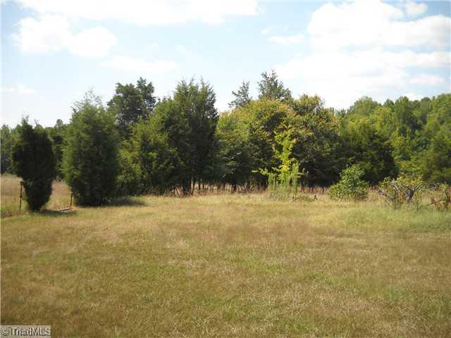 4557 Edgar Road Sophia, NC 27350 - Photo 16 of 16 Yard/Garden.