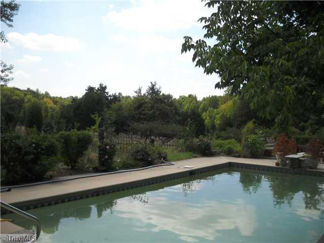 4557 Edgar Road Sophia, NC 27350 - Photo 5 of 16 Swimming Pool/Hot Tub/Sauna.