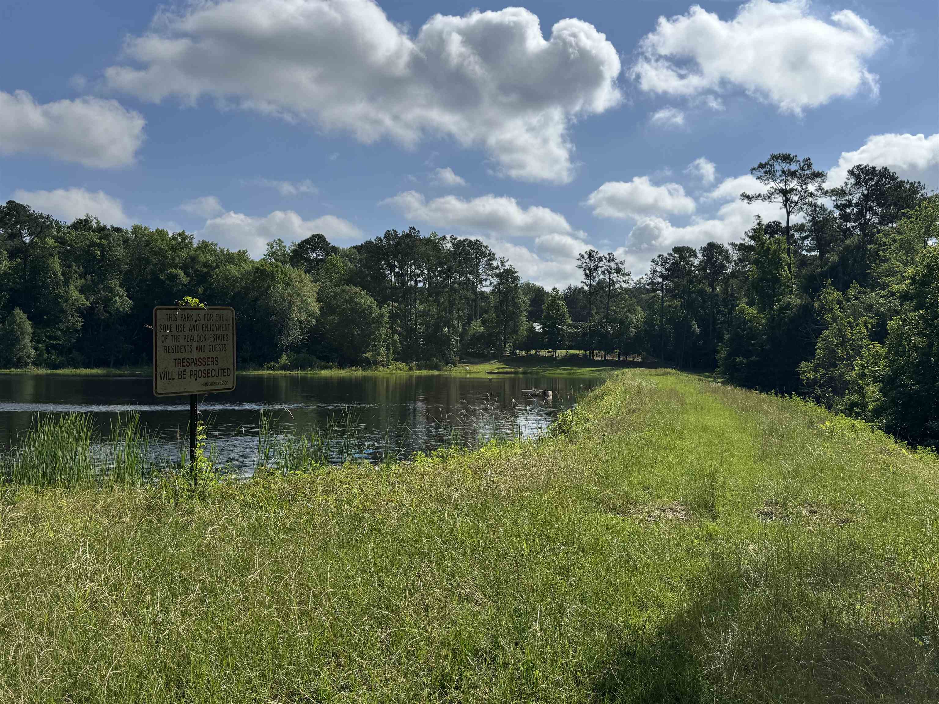 Solomon Dairy Road Quincy, FL 32352 - Photo 33 of 36
