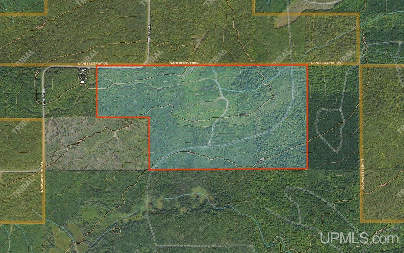 280-acres Off Pikes Peak Road Lanse, MI 49946 - Photo 21 of 21