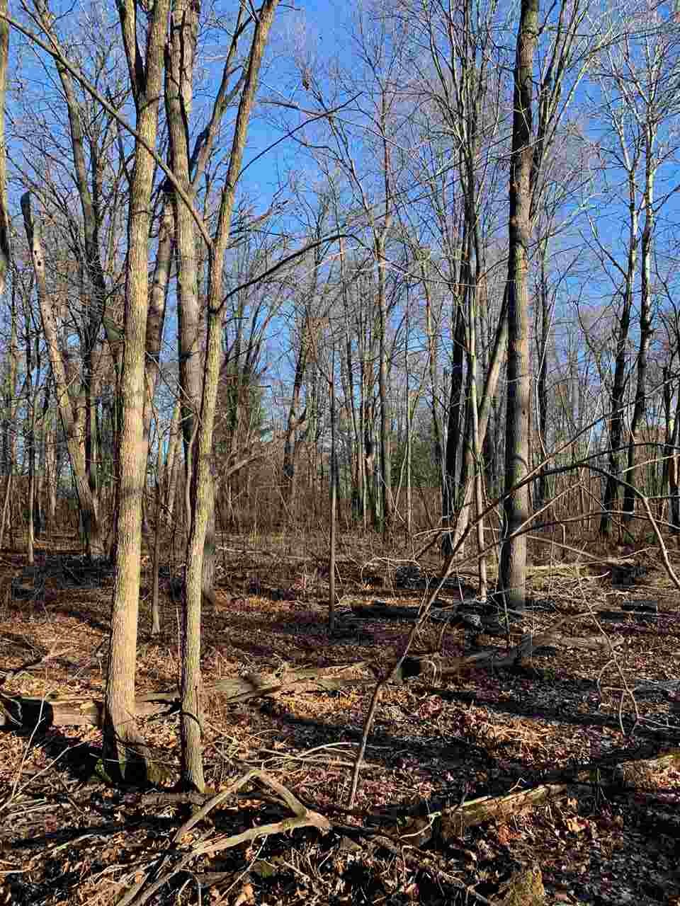 Schroeder Rd Camp Camp Douglas, WI 54618 - Photo 1 of 1