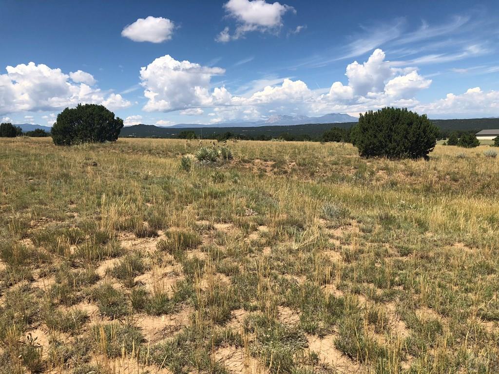 Lot 30 Silver Spur Road Walsenburg, CO 81089 - Photo 32 of 36 Gallery Image 32