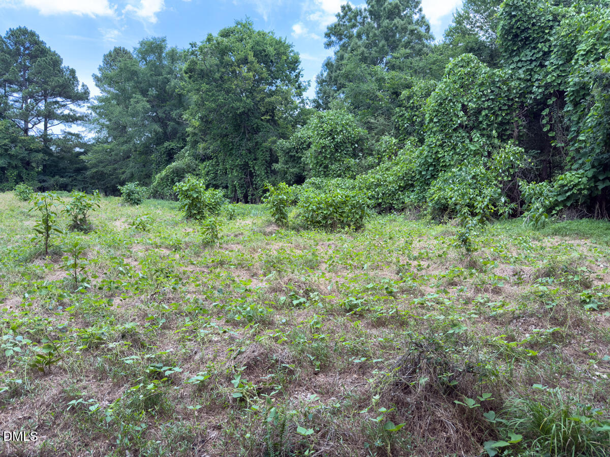 0 Mt Pleasant Church Road Manson, NC 27553 - Photo 26 of 43