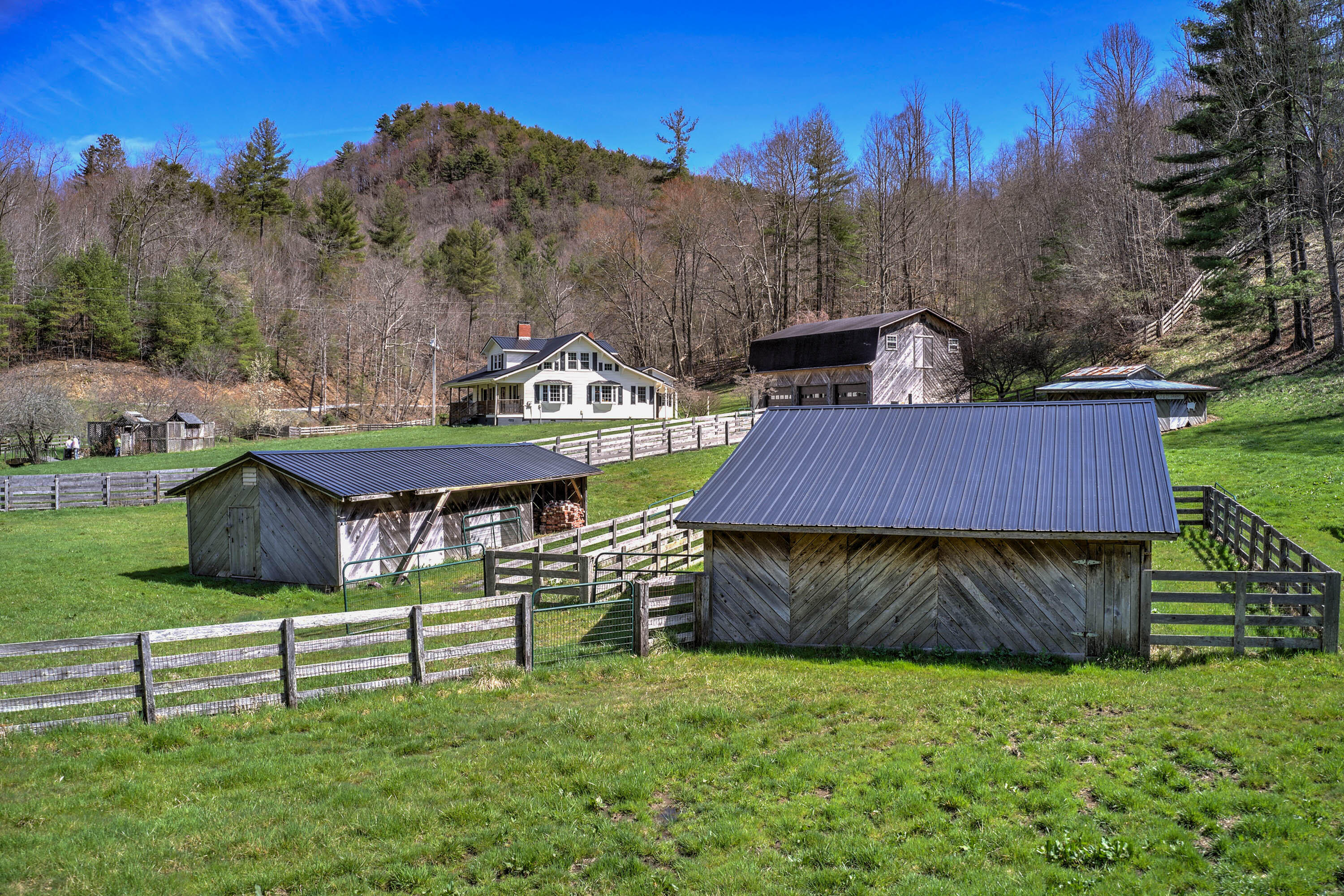 460 Tilson Mountain Road Flag Pond, TN 37657 - Photo 59 of 96 460 Tilson Mountain Rd-4