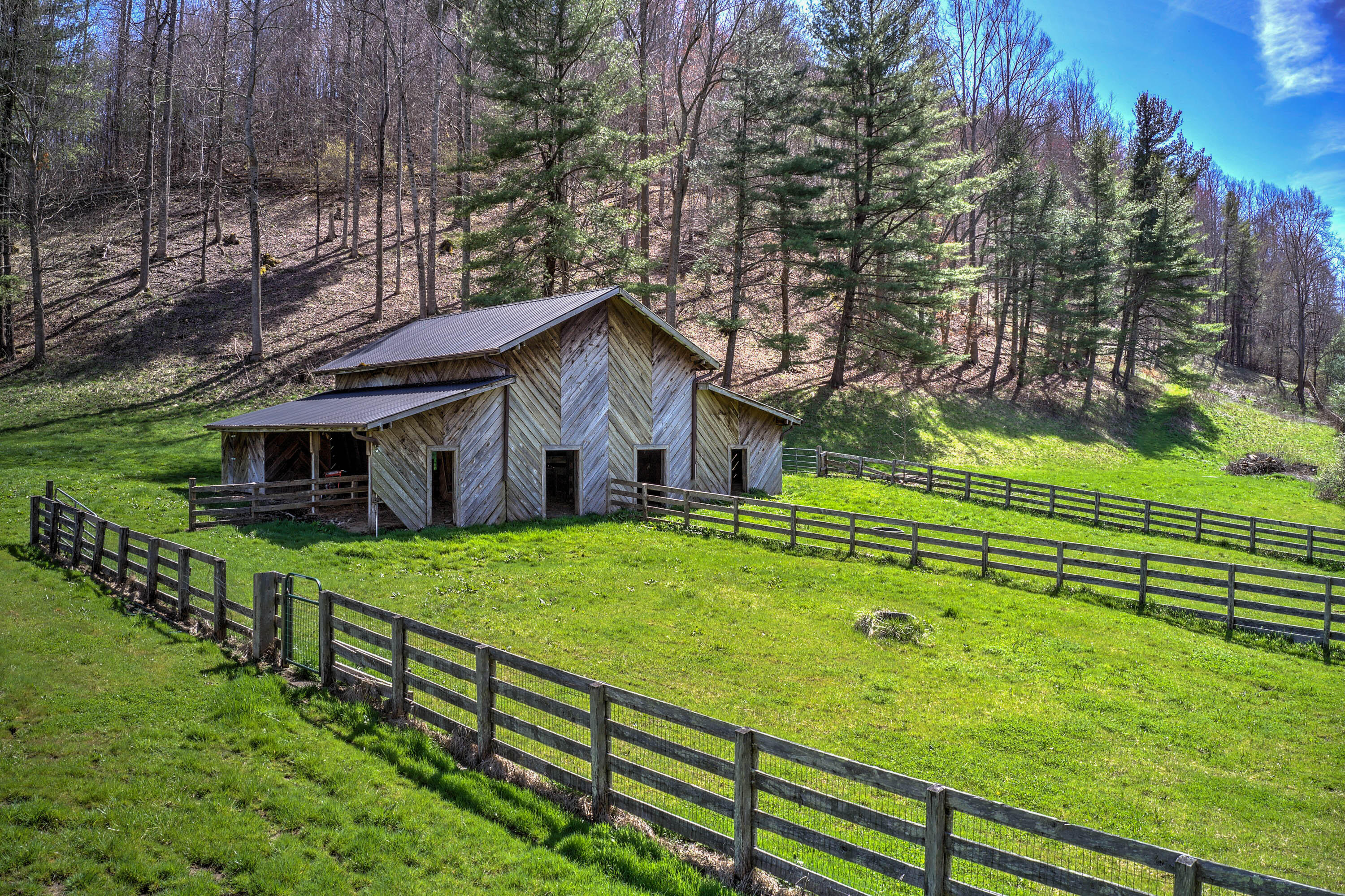 460 Tilson Mountain Road Flag Pond, TN 37657 - Photo 60 of 96 460 Tilson Mountain Rd-5