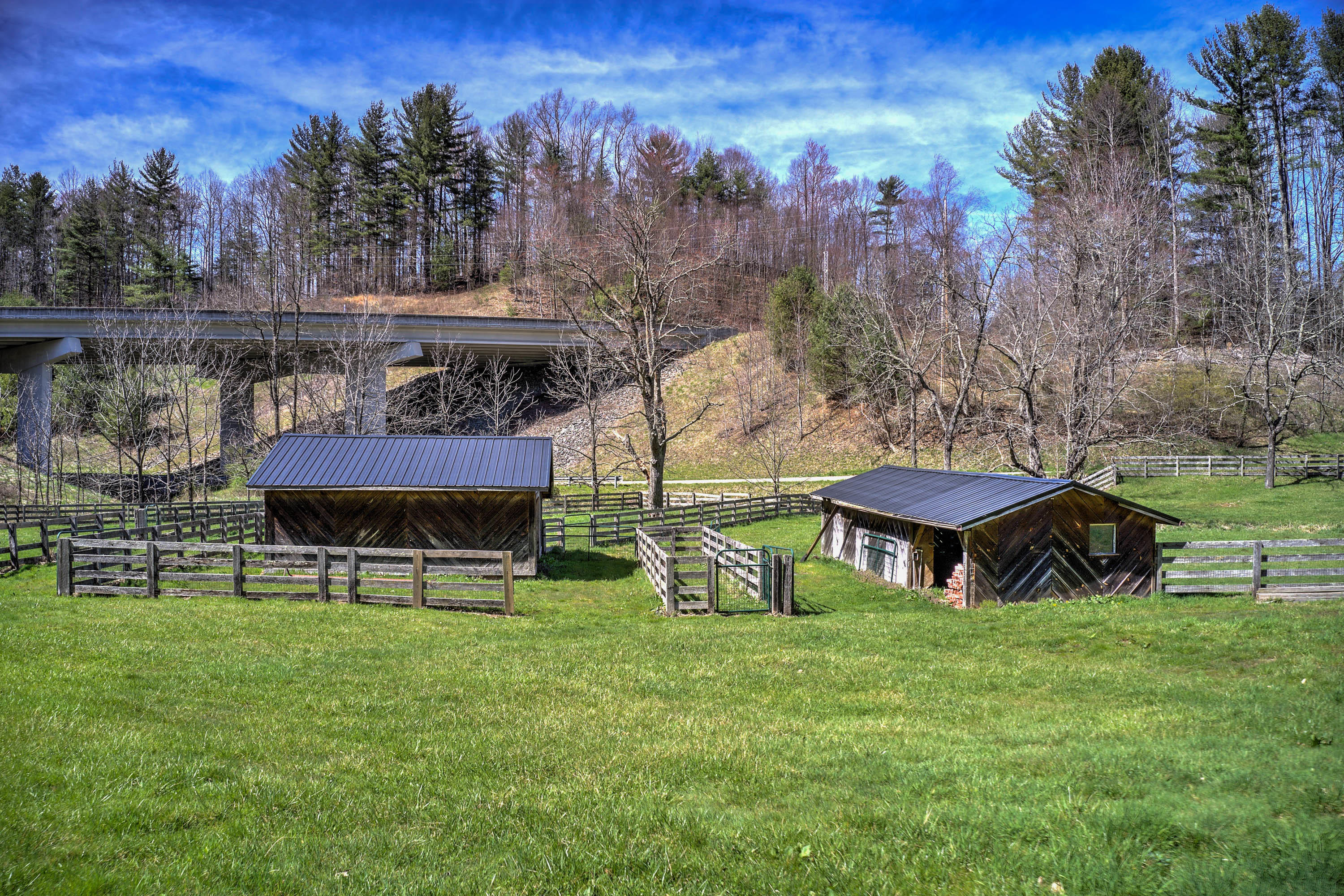 460 Tilson Mountain Road Flag Pond, TN 37657 - Photo 63 of 96 460 Tilson Mountain Rd-8