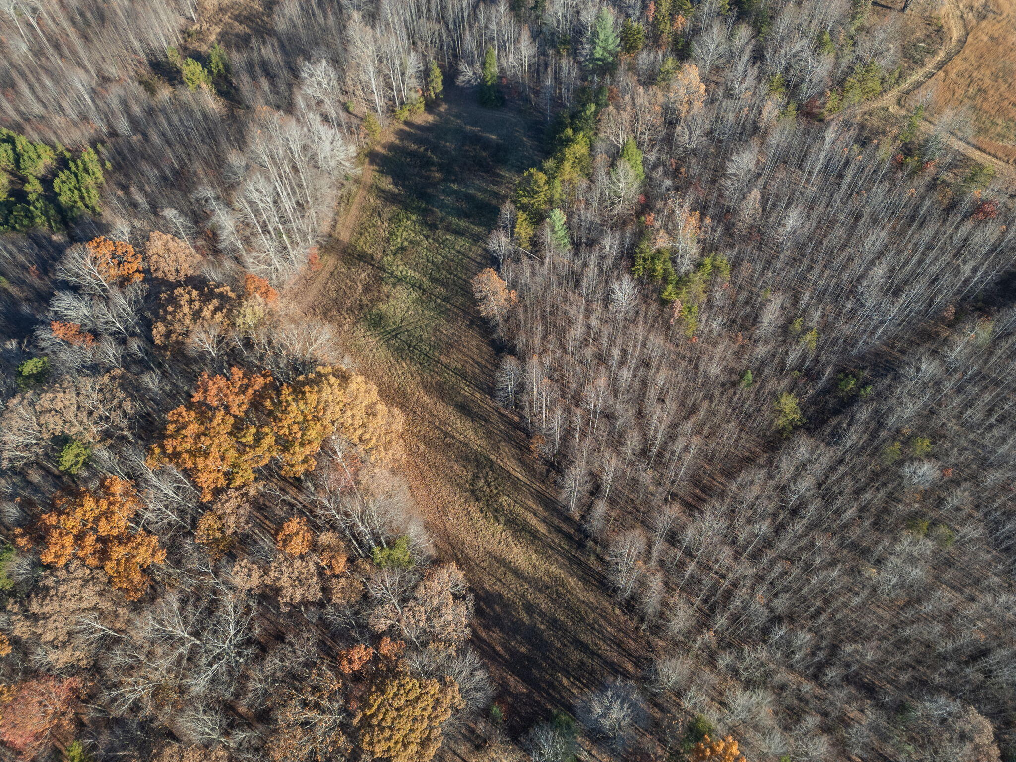 0 Ray Gadd Road Graysville, TN 37338 - Photo 3 of 12 10-web-or-mls-DJI_0632