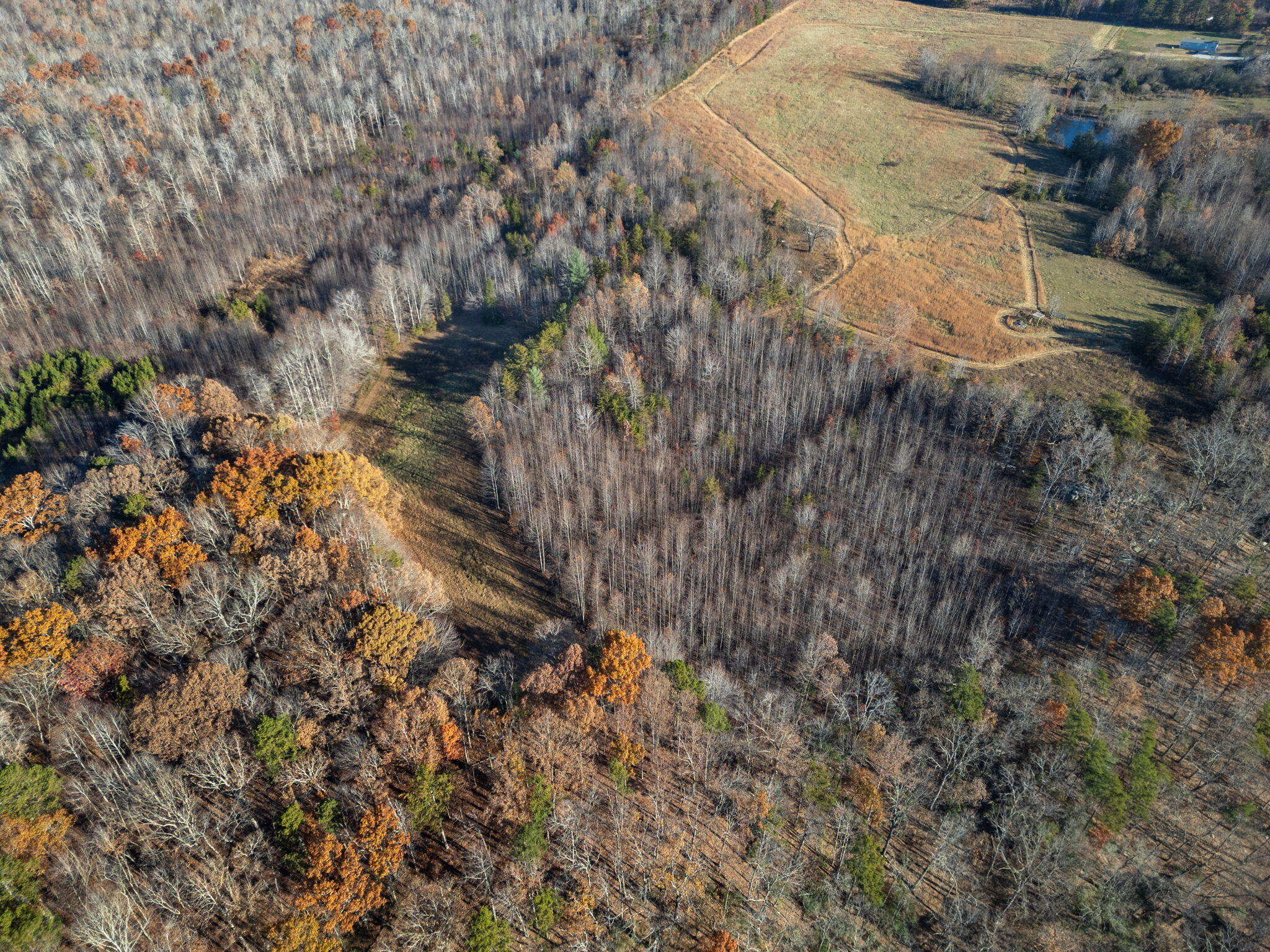 0 Ray Gadd Road Graysville, TN 37338 - Photo 4 of 12 9-web-or-mls-DJI_0629