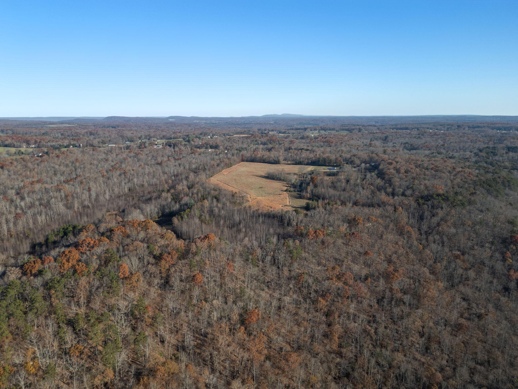0 Ray Gadd Road Graysville, TN 37338 - Photo 5 of 12 8-web-or-mls-DJI_0624