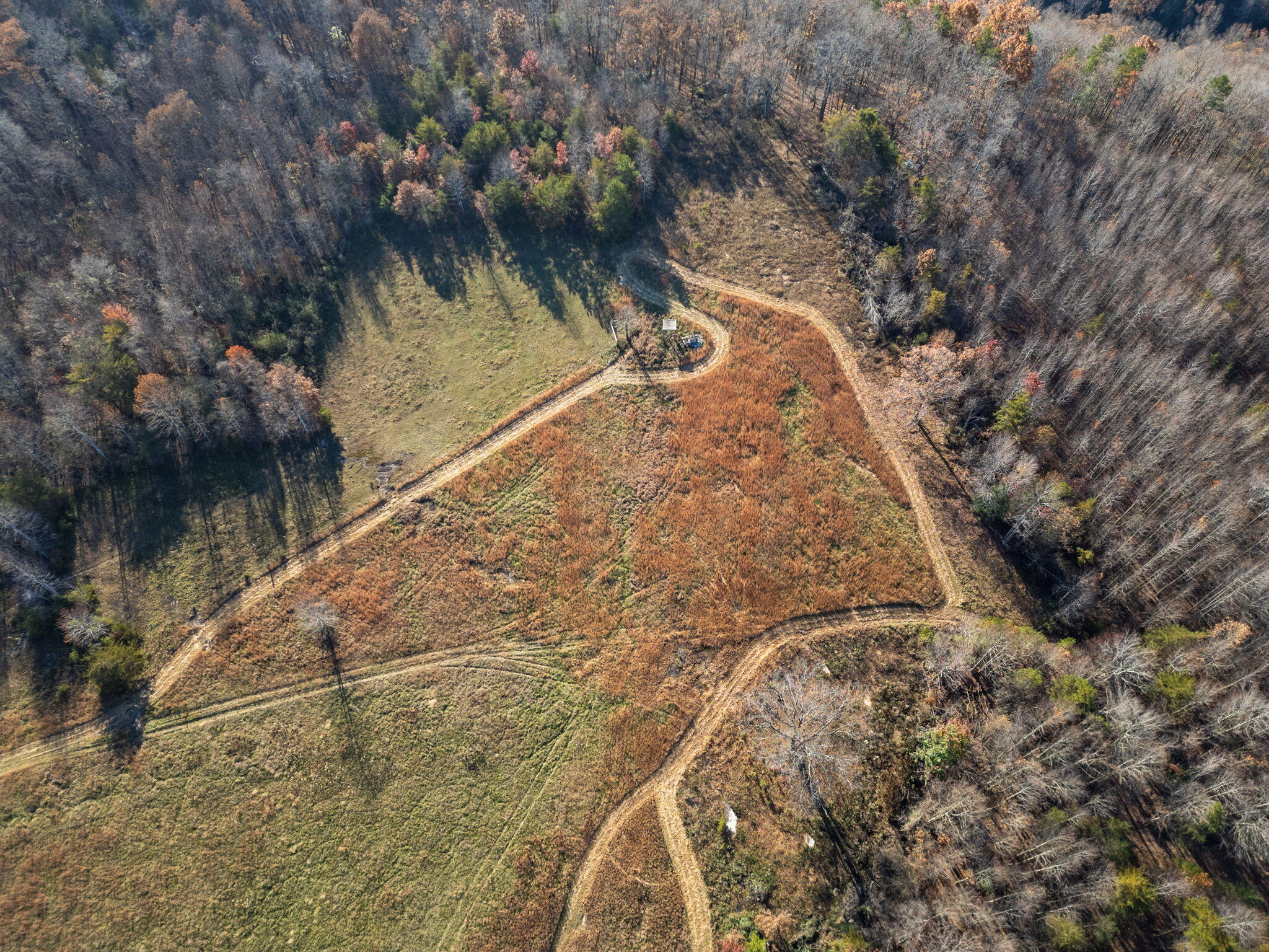 0 Ray Gadd Road Graysville, TN 37338 - Photo 7 of 12 6-web-or-mls-DJI_0618