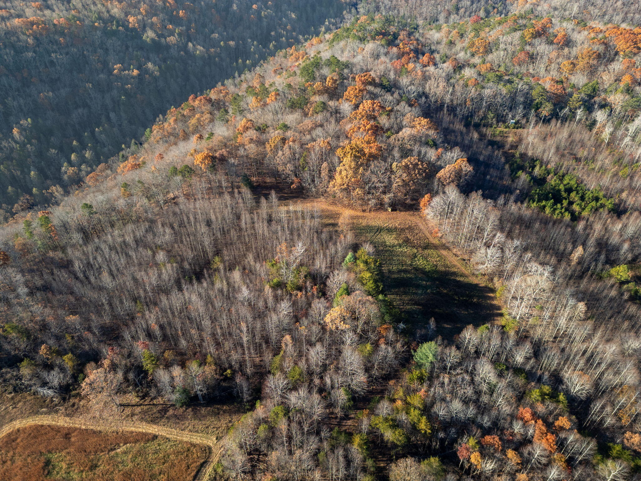 0 Ray Gadd Road Graysville, TN 37338 - Photo 8 of 12 5-web-or-mls-DJI_0615