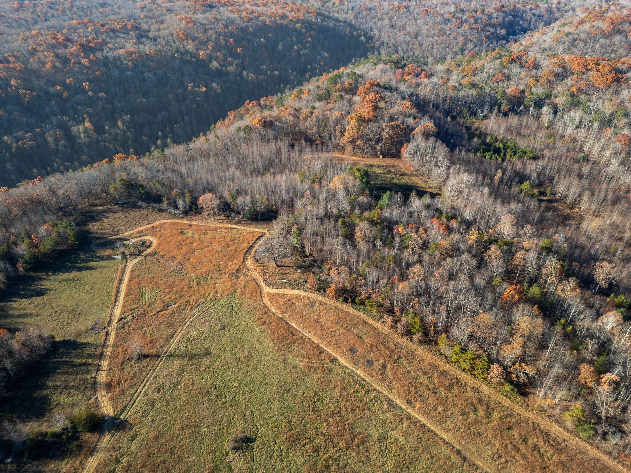 0 Ray Gadd Road Graysville, TN 37338 - Photo 9 of 12 4-web-or-mls-DJI_0610