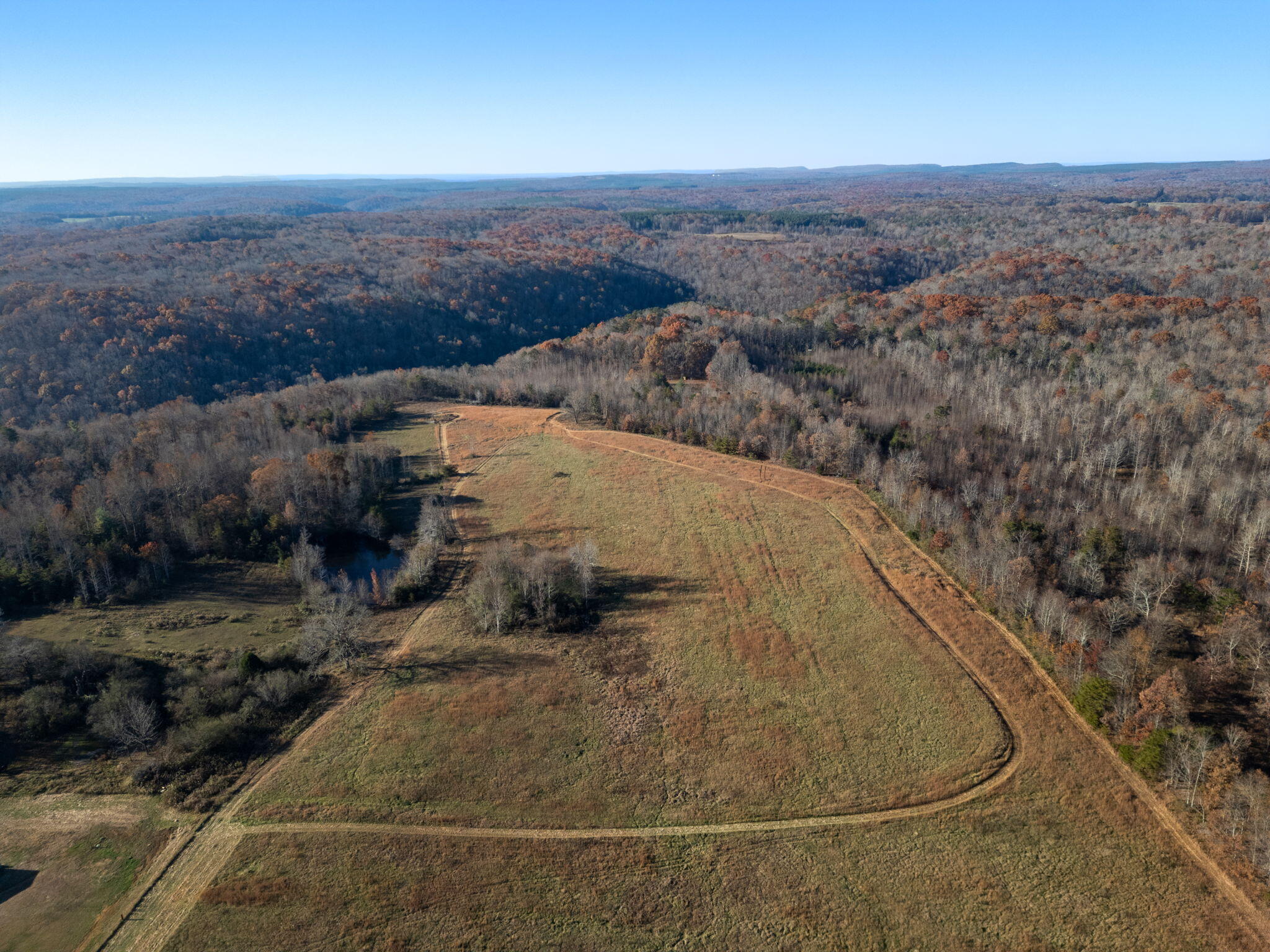0 Ray Gadd Road Graysville, TN 37338 - Photo 10 of 12 3-web-or-mls-DJI_0607