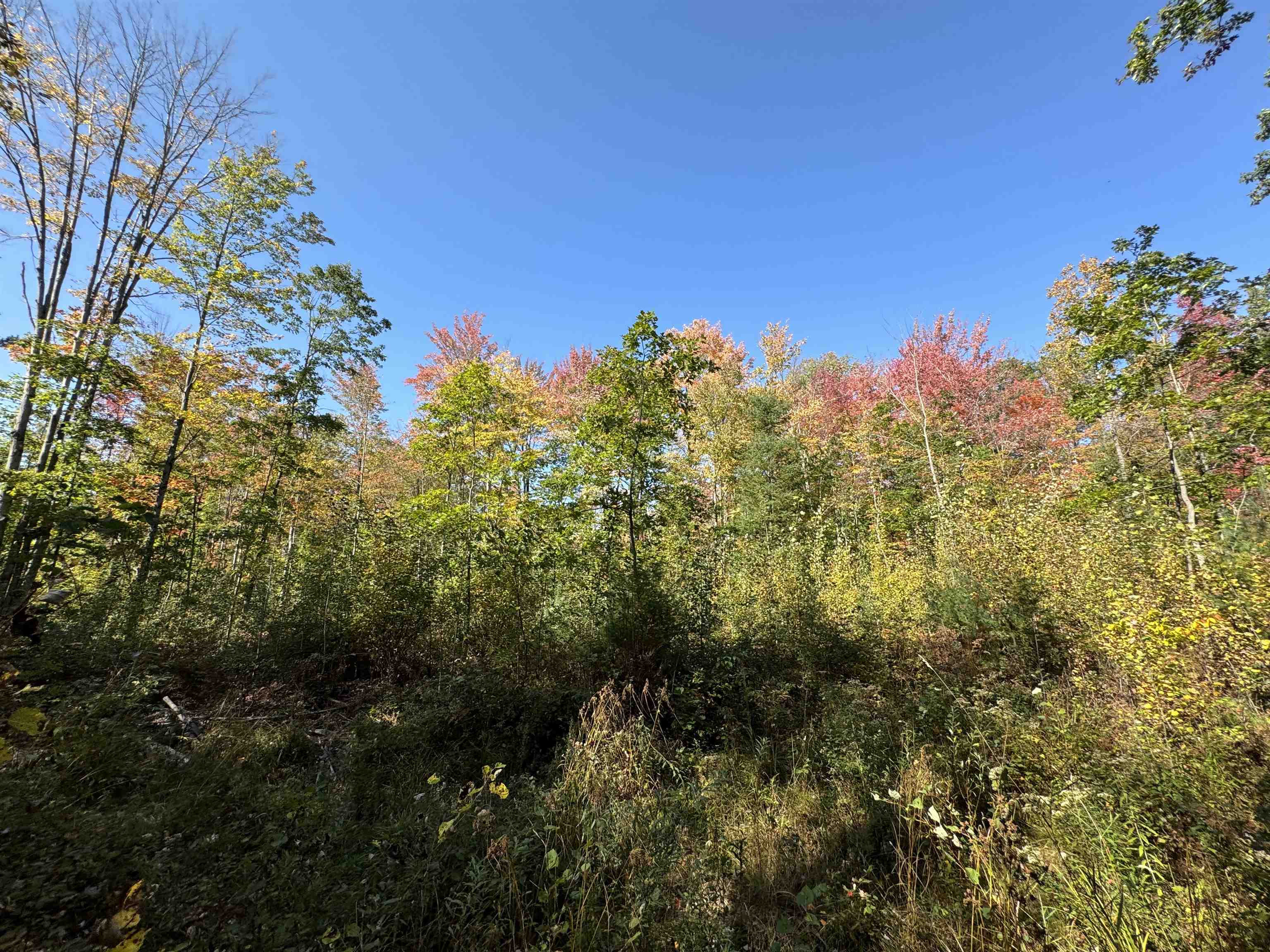 0 Cranberry Lake Road Prescott, MI 48756 - Photo 9 of 17 Gallery Image 9