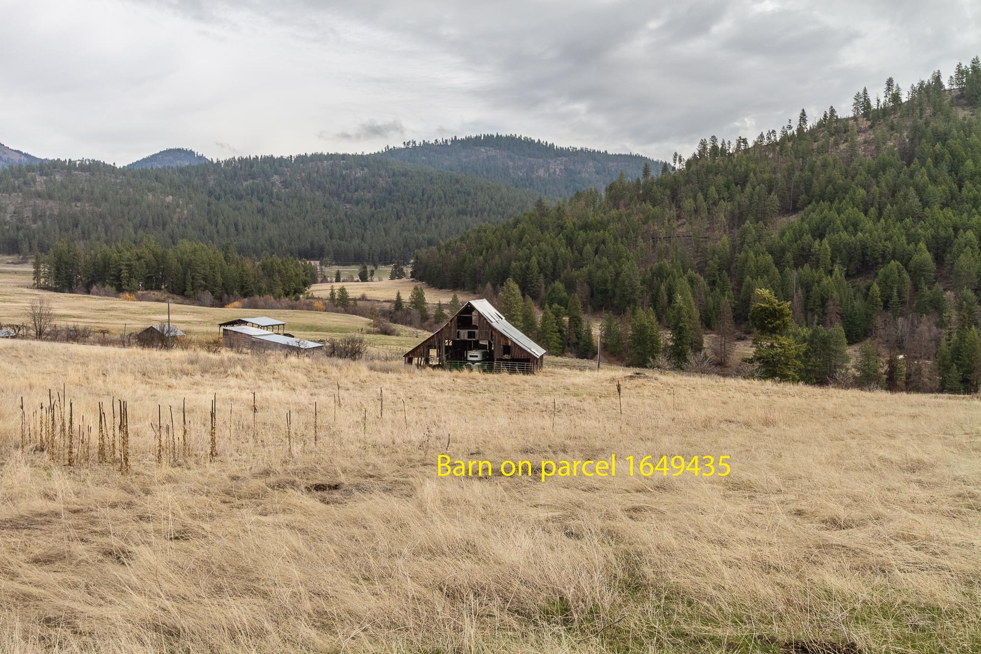 3000-blk Addy-Gifford Road Rice, WA 99167 - Photo 25 of 34