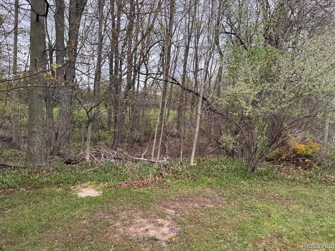 687 West Saginaw Road Mayville, MI 48744 - Photo 10 of 12 View of yard with a wooded view