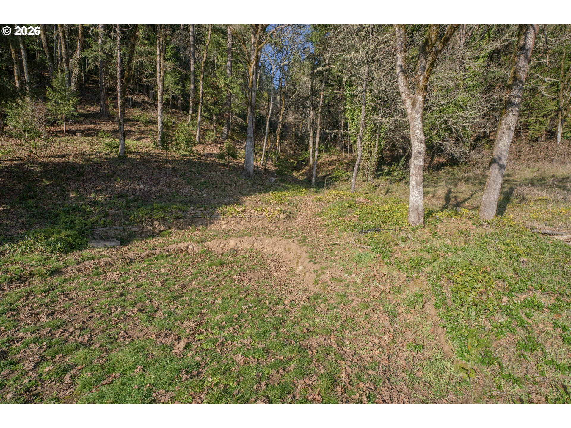 76554 Bobbe Way Oakridge, OR 97463 - Photo 29 of 47 a view of a yard with plants