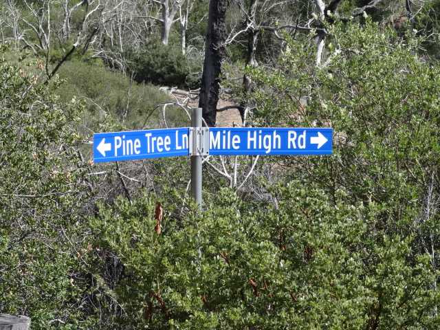 69 Canyon Road Julian, CA 92036 - Photo 2 of 24 Gallery Image 2