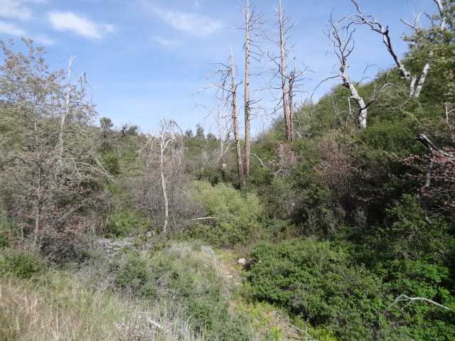 69 Canyon Road Julian, CA 92036 - Photo 13 of 24 Gallery Image 13