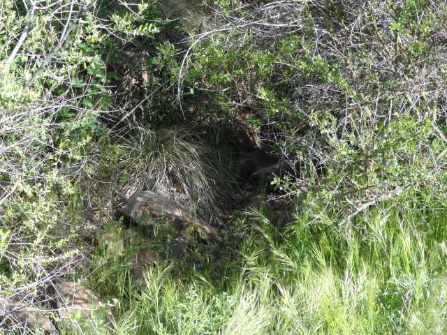 69 Canyon Road Julian, CA 92036 - Photo 21 of 24 Gallery Image 21