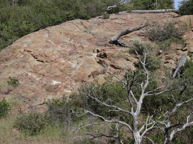 69 Canyon Road Julian, CA 92036 - Photo 22 of 24 Gallery Image 22