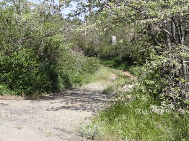 69 Canyon Road Julian, CA 92036 - Photo 4 of 24 Gallery Image 4