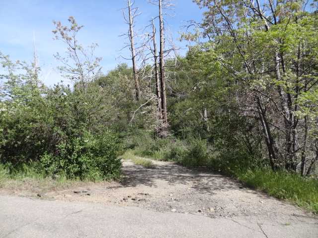 69 Canyon Road Julian, CA 92036 - Photo 5 of 24 Gallery Image 5