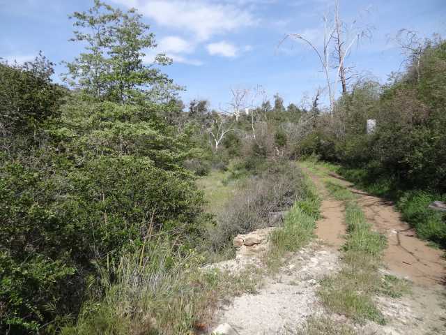 69 Canyon Road Julian, CA 92036 - Photo 6 of 24 Gallery Image 6