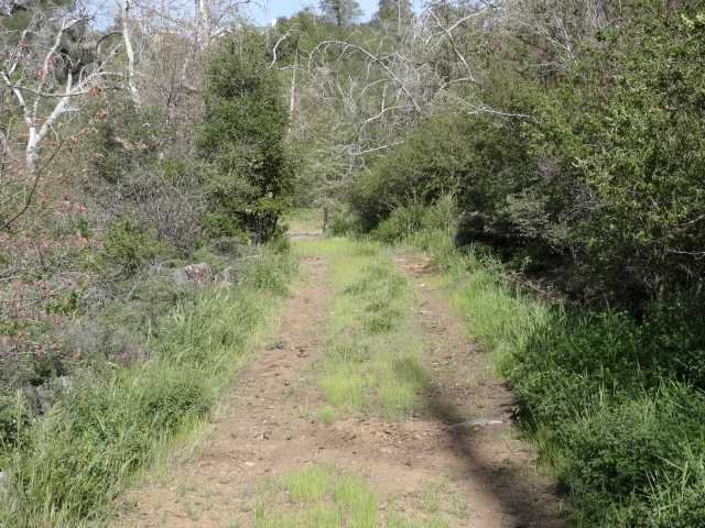 69 Canyon Road Julian, CA 92036 - Photo 7 of 24 Gallery Image 7