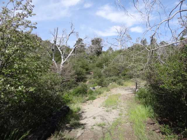 69 Canyon Road Julian, CA 92036 - Photo 8 of 24 Gallery Image 8