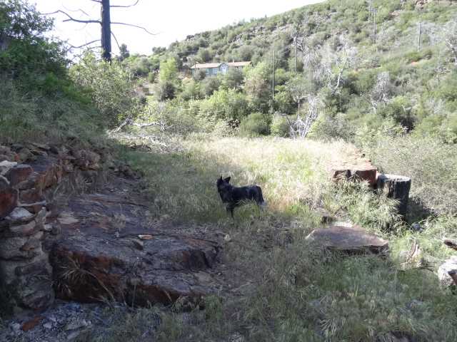 69 Canyon Road Julian, CA 92036 - Photo 9 of 24 Gallery Image 9