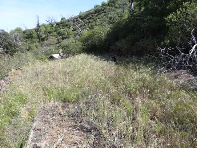 69 Canyon Road Julian, CA 92036 - Photo 10 of 24 Gallery Image 10