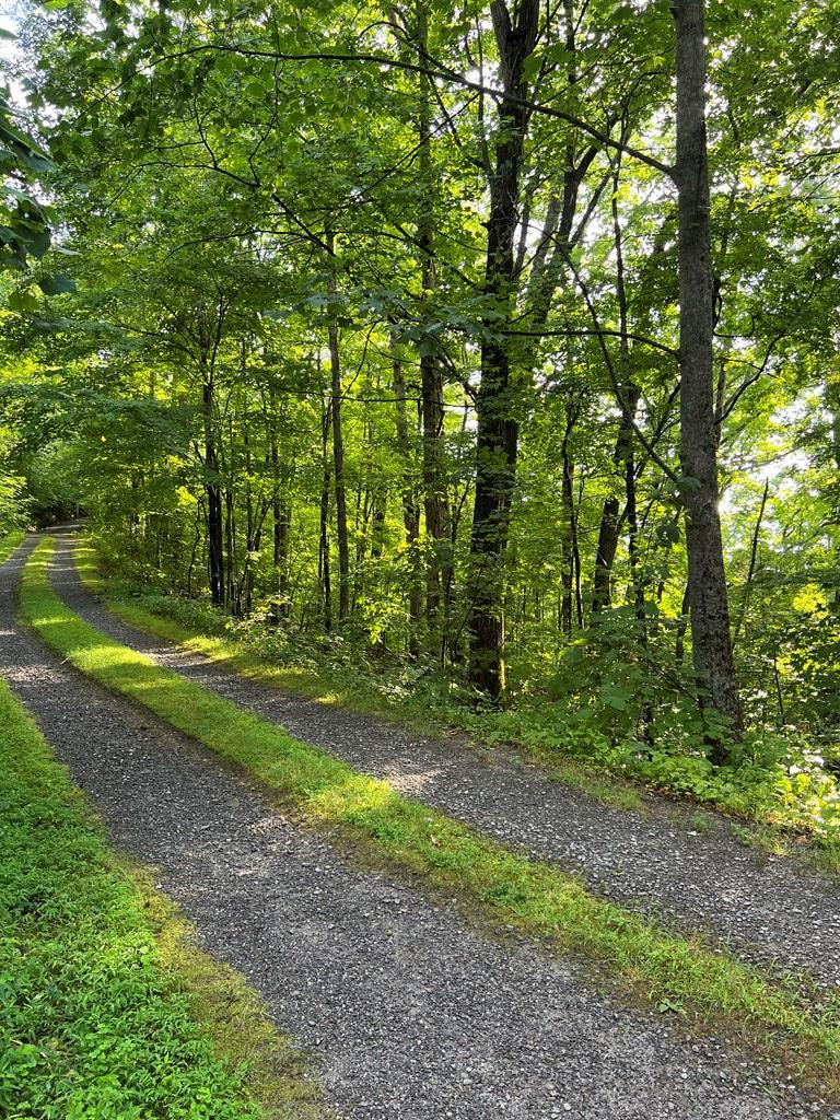 0 Laurel Drive Marble, NC 28905 - Photo 17 of 42