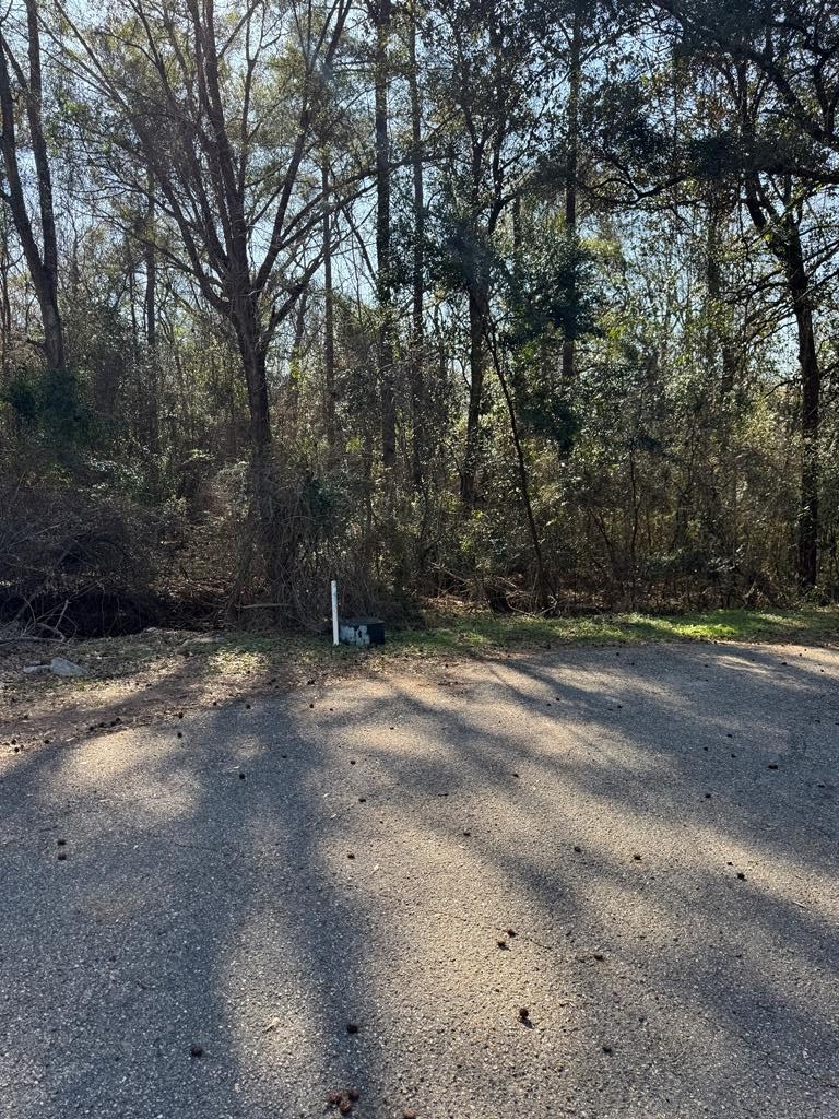 0 Vining Drive Dothan, AL 36303 - Photo 6 of 7