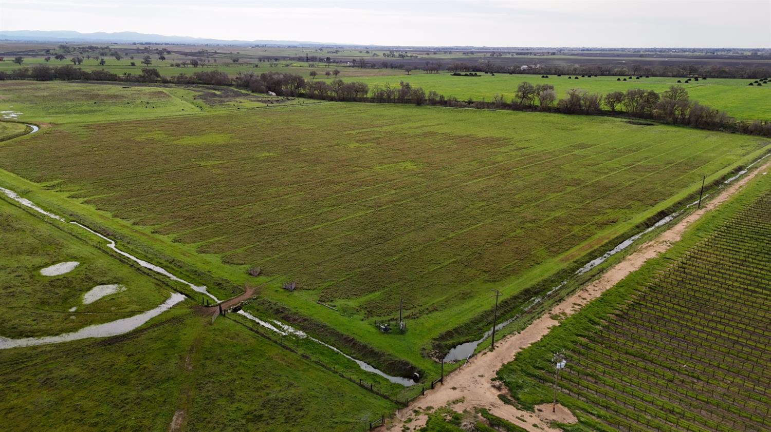 13229 Clay Station Road Galt, CA 95632 - Photo 20 of 65