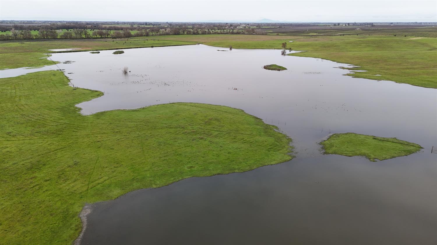 13229 Clay Station Road Galt, CA 95632 - Photo 24 of 65