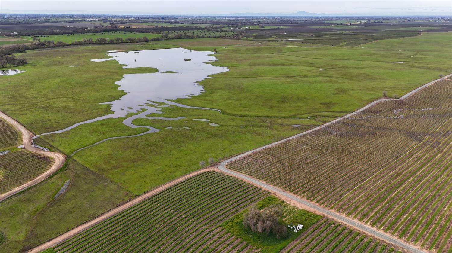 13229 Clay Station Road Galt, CA 95632 - Photo 27 of 65