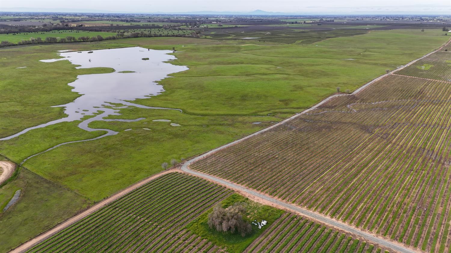 13229 Clay Station Road Galt, CA 95632 - Photo 28 of 65