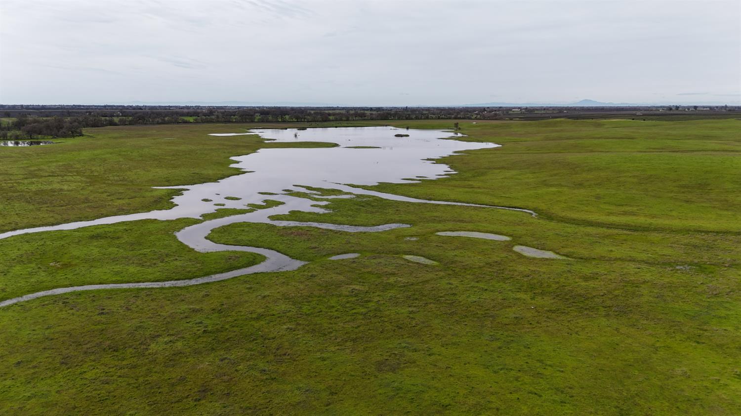 13229 Clay Station Road Galt, CA 95632 - Photo 29 of 65