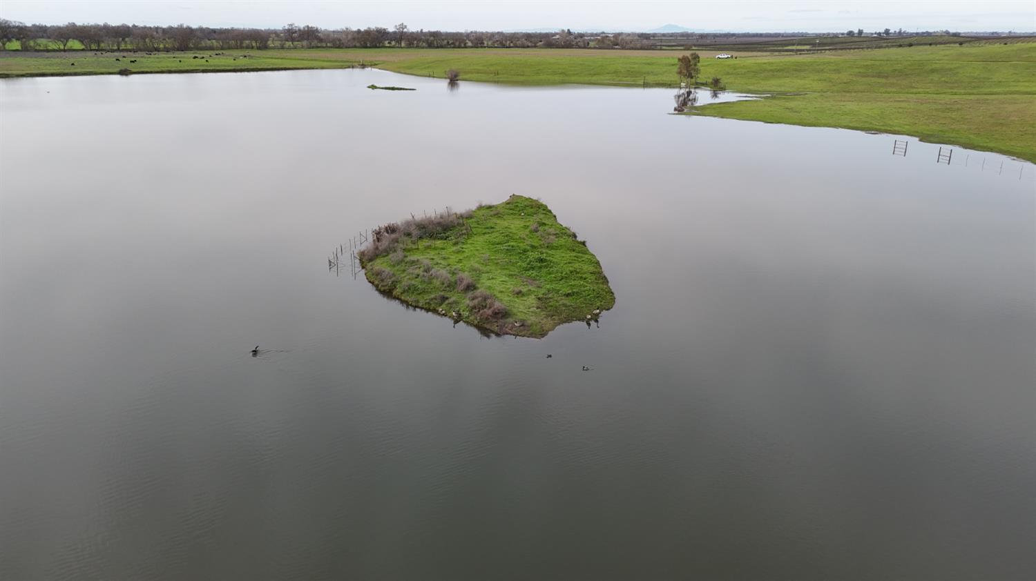 13229 Clay Station Road Galt, CA 95632 - Photo 33 of 65