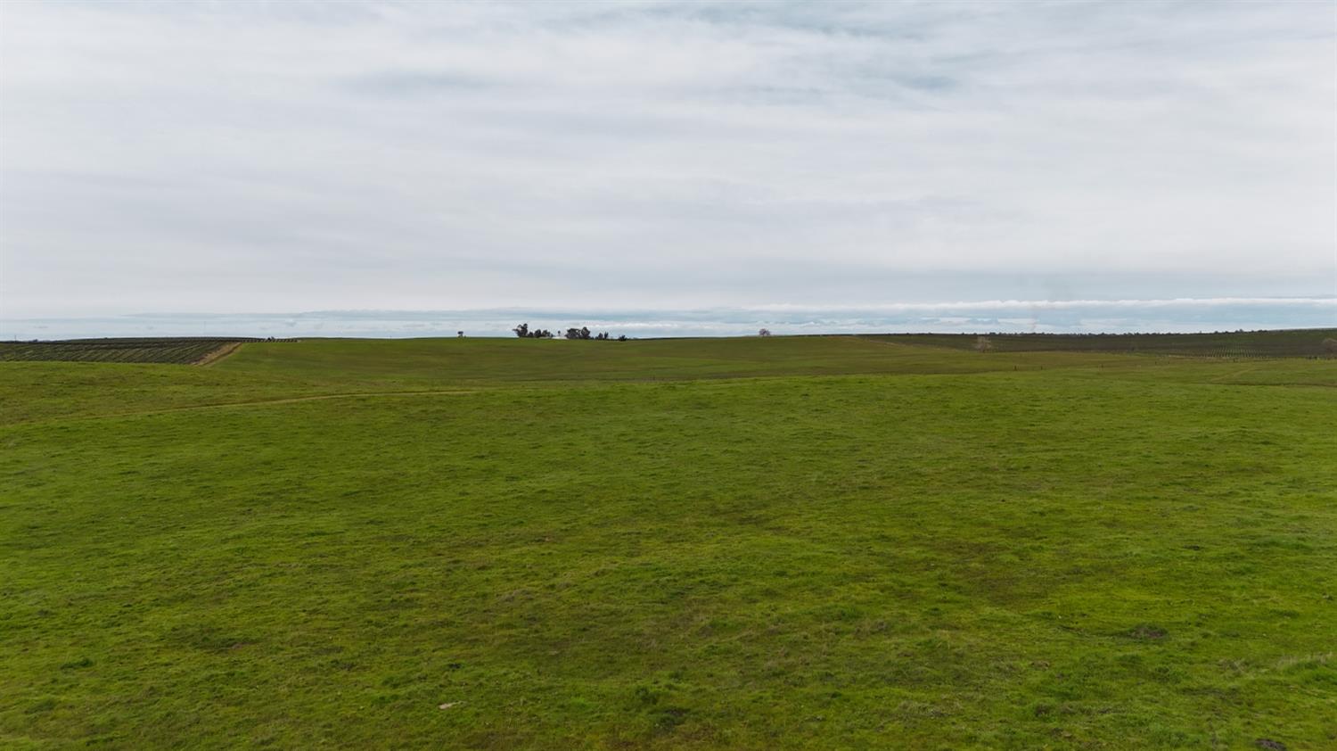 13229 Clay Station Road Galt, CA 95632 - Photo 40 of 65