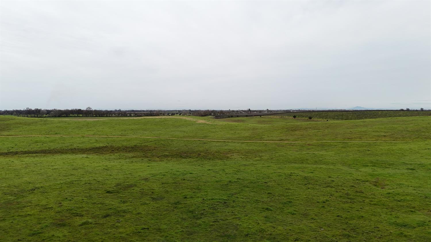 13229 Clay Station Road Galt, CA 95632 - Photo 41 of 65