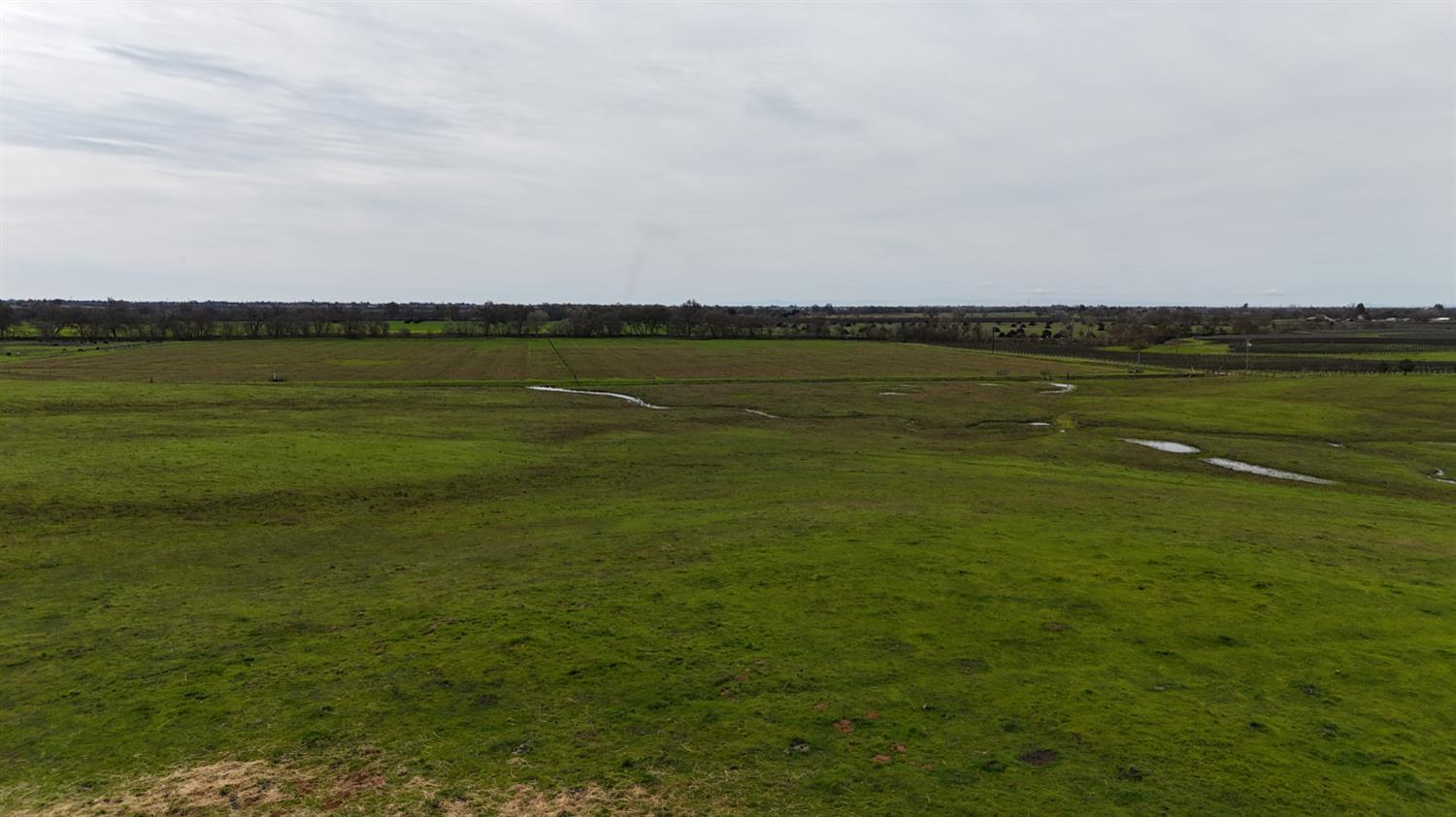 13229 Clay Station Road Galt, CA 95632 - Photo 44 of 65